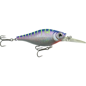Image of Walleye Nation Creations Shaky Shad Crankbait | Purple Tiger; 2 3/4 in.