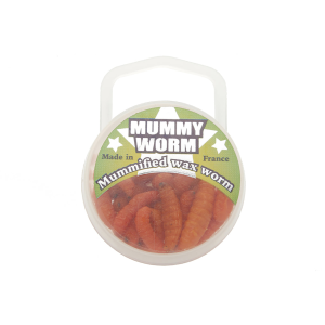 Image of Eurotackle Mummy Worm Jarred Bait | Orange