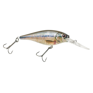 Image of Berkley Flicker Shad Crankbait | HD Fathead Minnow; 3 in.