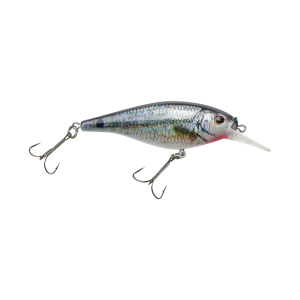 Image of Berkley Flicker Shad Crankbait | HD Spottail Shiner; 3 in.