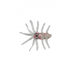 Image of ADK Custom Jigs Ice Bug Plastic Soft Baits | Fire Cracker