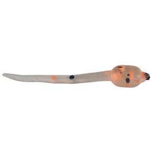 Image of ADK Custom Jigs Tadpole Plastic Soft Baits | Orange