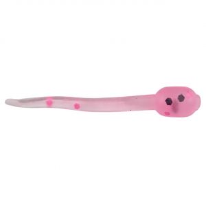 Image of ADK Custom Jigs Tadpole Plastic Soft Baits | Pink