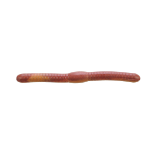 Image of Berkley Gulp! Fat Floating Trout Worms | Nightcrawler; 2 in.