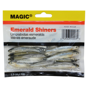 Image of Magic Products Preserved Emerald Shiners | Medium