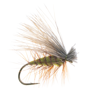 Image of Elk Hair Caddis Dry Fly - 2 Pack | Olive; 10