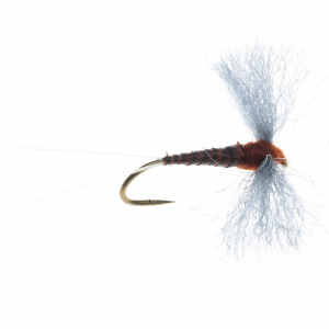 FISHUSA Rusty Spinner Dry Fly - 2 Pack