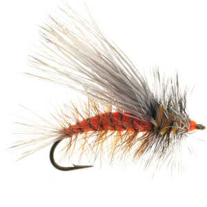Image of Stimulator Dry Fly - 2 Pack | Orange; 12