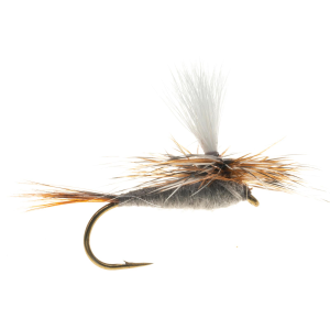 Image of Adam's Parachute Dry Fly - 2 Pack | 12