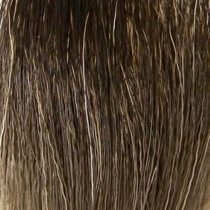 Image of Wapsi Moose Body Hair
