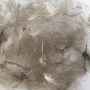 Image of Wapsi CDC Cul De Canard Feathers | Natural Dun