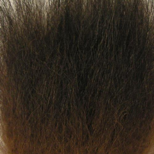 Image of Wapsi Black Bear Hair