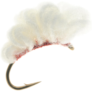 Image of Sucker Spawn Egg Fly - 2 Pack | Cream; 12