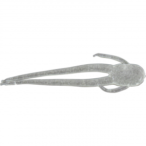 Image of P-3 Plastics Slicee Soft Bait | Glow Blue; 1 in.