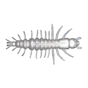 Image of Nikko Zaza Hellgrammite | Peppermilk; 4 1/4 in.