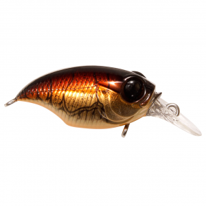 Image of Megabass BFS SR-X Griffon | LT Craw; 1 1/2 in.