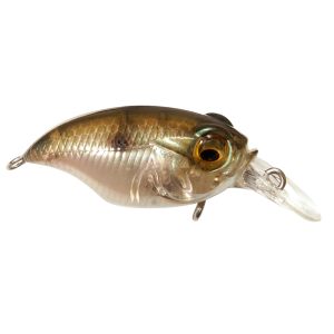 Image of Megabass BFS SR-X Griffon | MB Gizzard; 1 1/2 in.