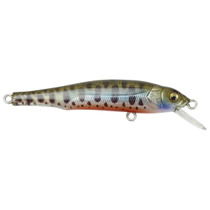 Image of Megabass X-70 | Baby Trout; 2 3/4 in.