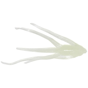 Image of Clam Maki Plastics | Lumi; 1 1/4 in.