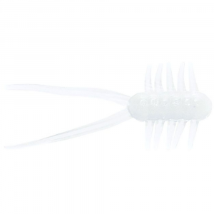 Image of Clam Maki Jamei Plastics | Glow; 1 1/8 in.