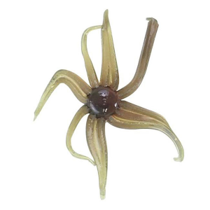 Image of Clam Maki Neki | Motor Oil; 7/8 in.