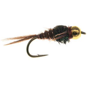 Image of Bead Head Pheasant Tail Nymph - 2 Pack | 12