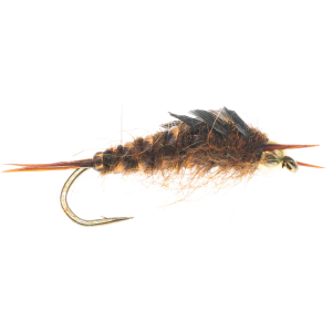 Image of Bead Head Stonefly Nymph - 2 Pack | Brown; 8