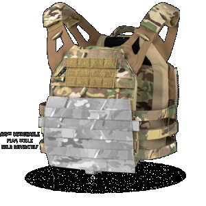 Crye Precision Jumpable Plate Carrier (JPC) 2.0(TM)