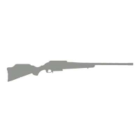 Ruger 46941 American Predator Gen II, 6mm ARC, 22 Barrel, (1) 10+1