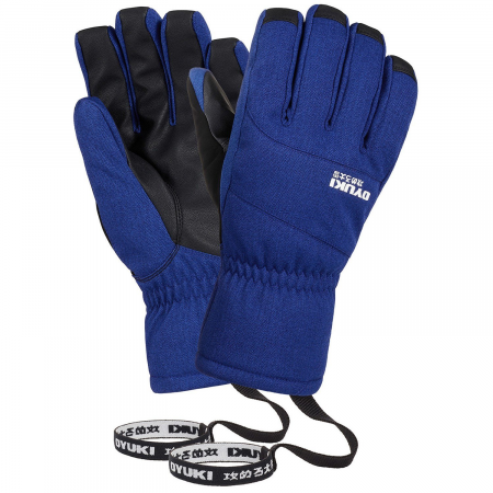 Oyuki Icho GORE-TEX Gloves 2025 in Black
