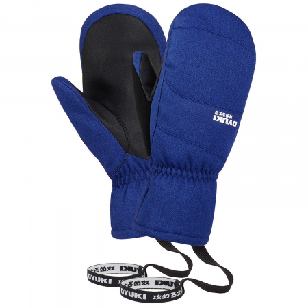 Oyuki Icho GORE-TEX Mittens 2025 in Blue