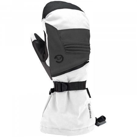 Women's Gordini Storm GORE-TEX Mittens 2025 in White size Large | Leather/Polyester