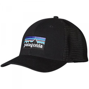 Patagonia P6 LoPro Hat