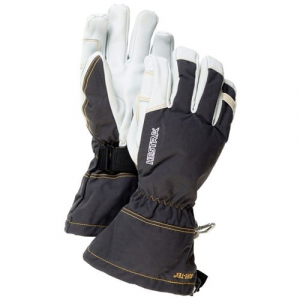 Hestra Army Leather GORE TEX(R) Gloves