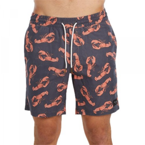 Barney Cools Amphibious 17" Shorts