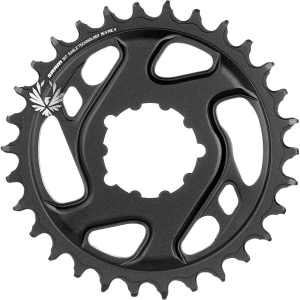 Image of SRAM X-Sync 2 Direct Mount Chainring 2023 in Black size 30T