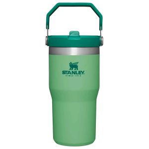 Stanley The IceFlow Flip Straw 20oz Tumbler 2024 in Green