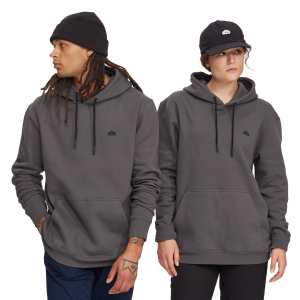 Image of evo Basic Hoodie Unisex 2025 in Gray size X-Small | Cotton