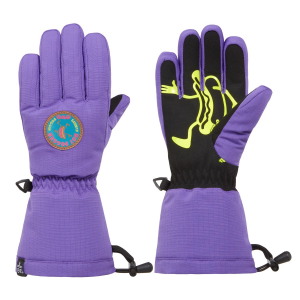Kid's evo Sessel Gloves 2024 in Purple size Large