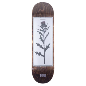 Image of Pass~Port Invasive Species Scotch Thistle Skateboard Deck 2025 size 8.25