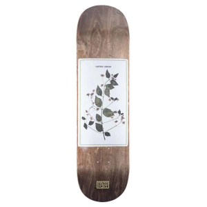 Pass~Port Invasive Species Lantana Skateboard Deck 2025 size 8.5