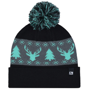 Flylow Revival Pom Beanie Hat 2023 in Blue