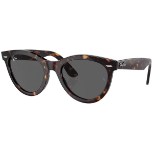 Image of Ray Ban Wayfarer Way 51 Sunglasses 2024 in Grey