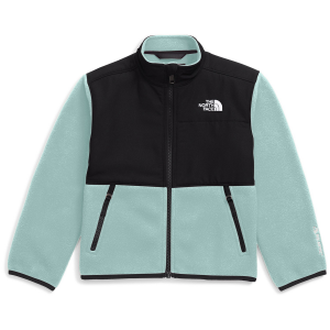 Image of Kid's The North Face Denali Jacket Toddlers' 2025 in Blue size 4T | Polyester