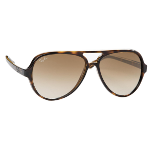 Image of Ray Ban RB 4125 Cats 5000 Sunglasses 2025 in Brown