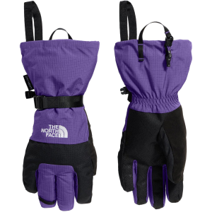 The North Face The North Face Montana Gloves 2027 in Green size Large | Polyester - $70.00 at evo