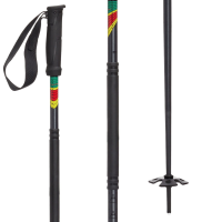 evo Enduro Ski Poles 2025 in Black size 110 | Aluminum/Rubber