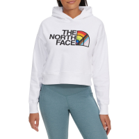 Women's The North Face Pride Pullover Hoodie 2022 in Black size Large | Cotton/Polyester