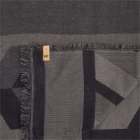 Tentree Cotton Geo Blanket Scarf 2020 in Gray