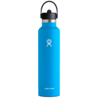 Hydro Flask 24oz Standard Mouth Flex Straw Cap Water Bottle 2022 in Green